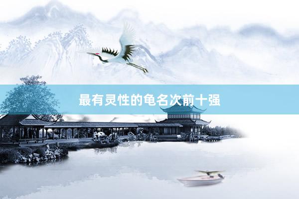 最有灵性的龟名次前十强