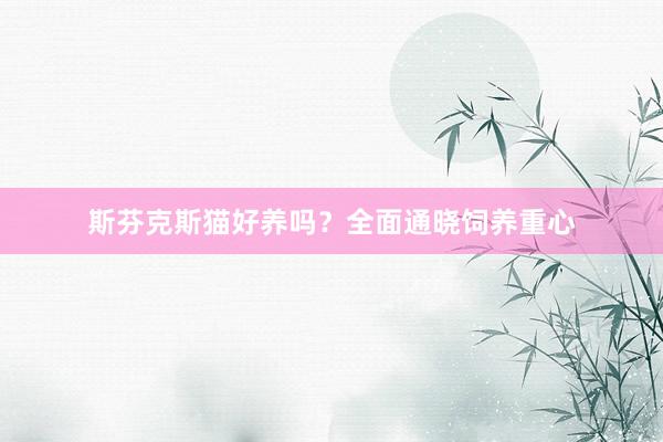 斯芬克斯猫好养吗？全面通晓饲养重心